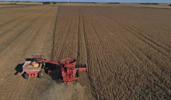 A combine harvests soybeans in a field at the Bardole and Sons farm in Rippey, Iowa, on Oct. 14, 2019.