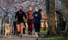 People wearing masks run among the Japanese Cherry Blossom trees along the Tidal Basin in Washington on March 27.