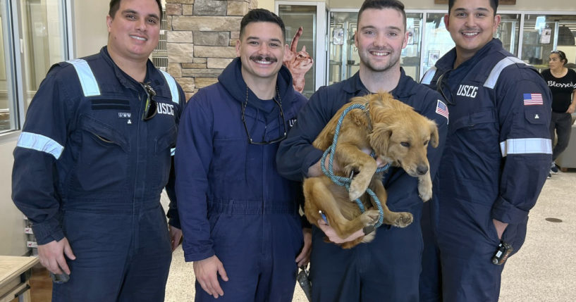 This image released by the U.S. Coast Guard, shows Connie the container dog, Wednesday with the four marine inspectors from the U.S. Coast Guard Sector Houston-Galveston who rescued her.