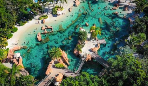 a pool at Discovery Cove