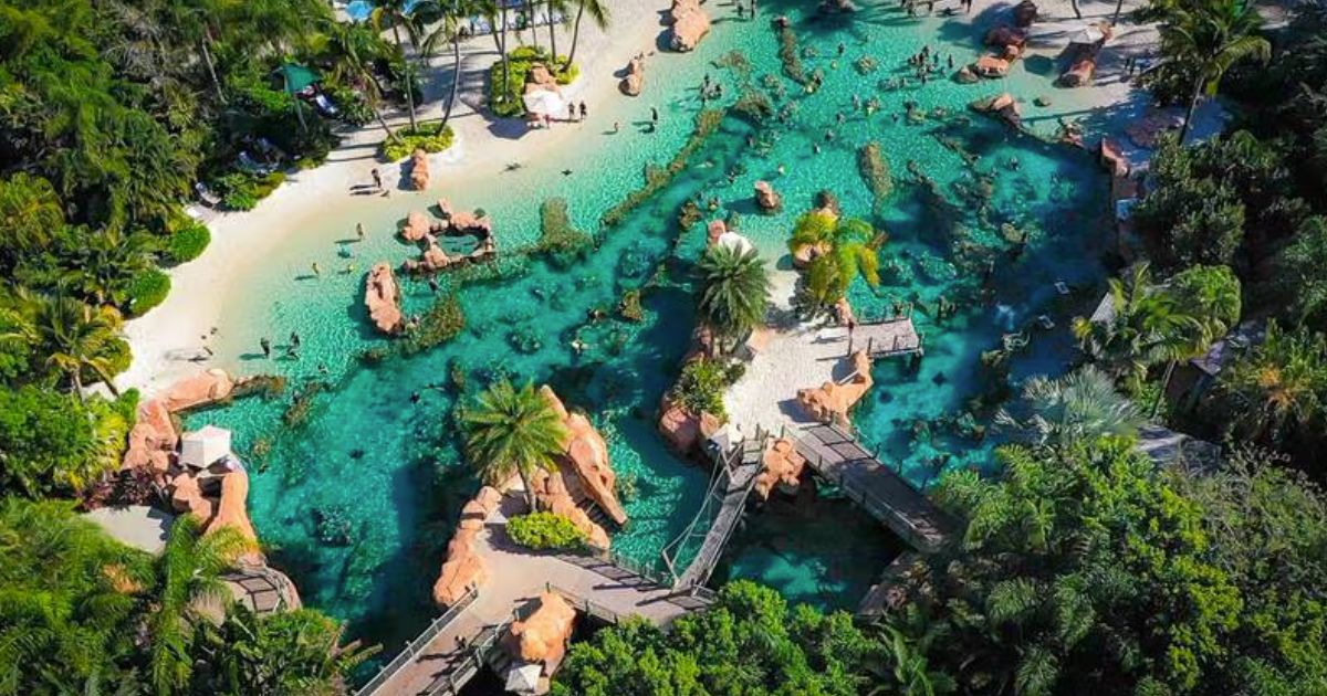 a pool at Discovery Cove