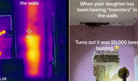 After their toddler daughter kept insisting there were monsters in her walls, a North Carolina couple hired an expert, who used thermal imaging, left, to find a huge colony of bees in the wall.