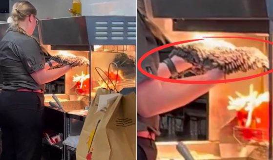 The video of an employee drying a mop head under the french-fry heat lamp horrified many viewers.