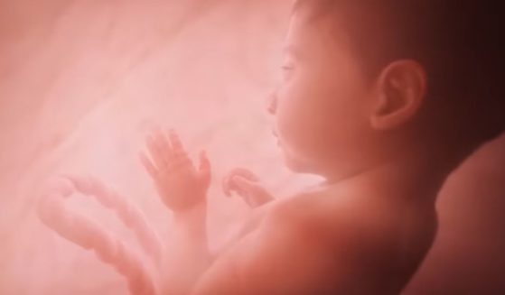 This is a monotone conceptual image of a baby inside the womb at 27 weeks created by the pro-life organization Live Action.