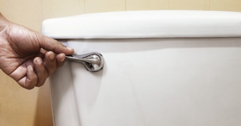 This photo shows a hand on the handle of a toilet ready to flush it.