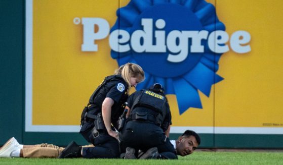 Capitol Police detain a climate protester who ran onto the field during the Congressional Baseball Game in Washington, D.C., on Wednesday.