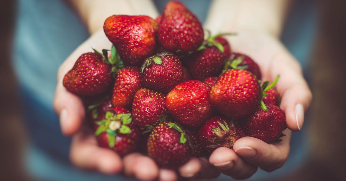 This image shows two hands holding a bunch of strawberries.