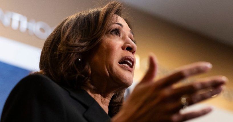 Vice President Kamala Harris speaks during her visit to a Planned Parenthood clinic in St. Paul, Minnesota, on March 14.