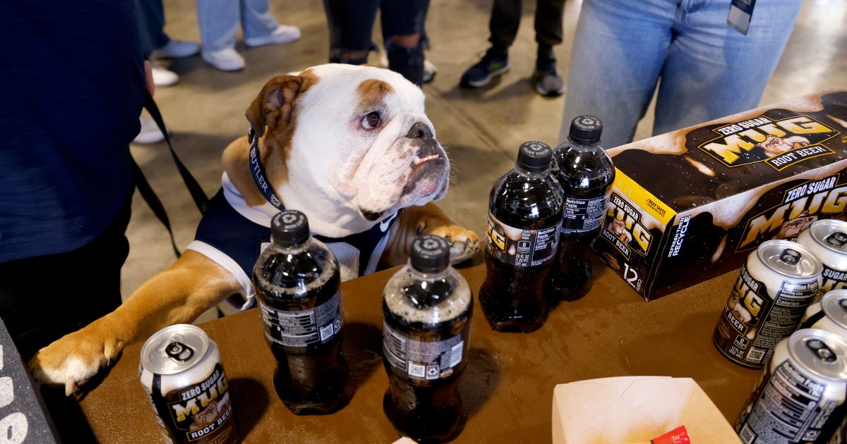 Blue IV, Butler's mascot, attends as MUG Root Beer shows up for The Real Dogs Of All-Star Weekend: The Butler University Dawg Pound at Butler University on February 17, 2024 in Indianapolis, Indiana.