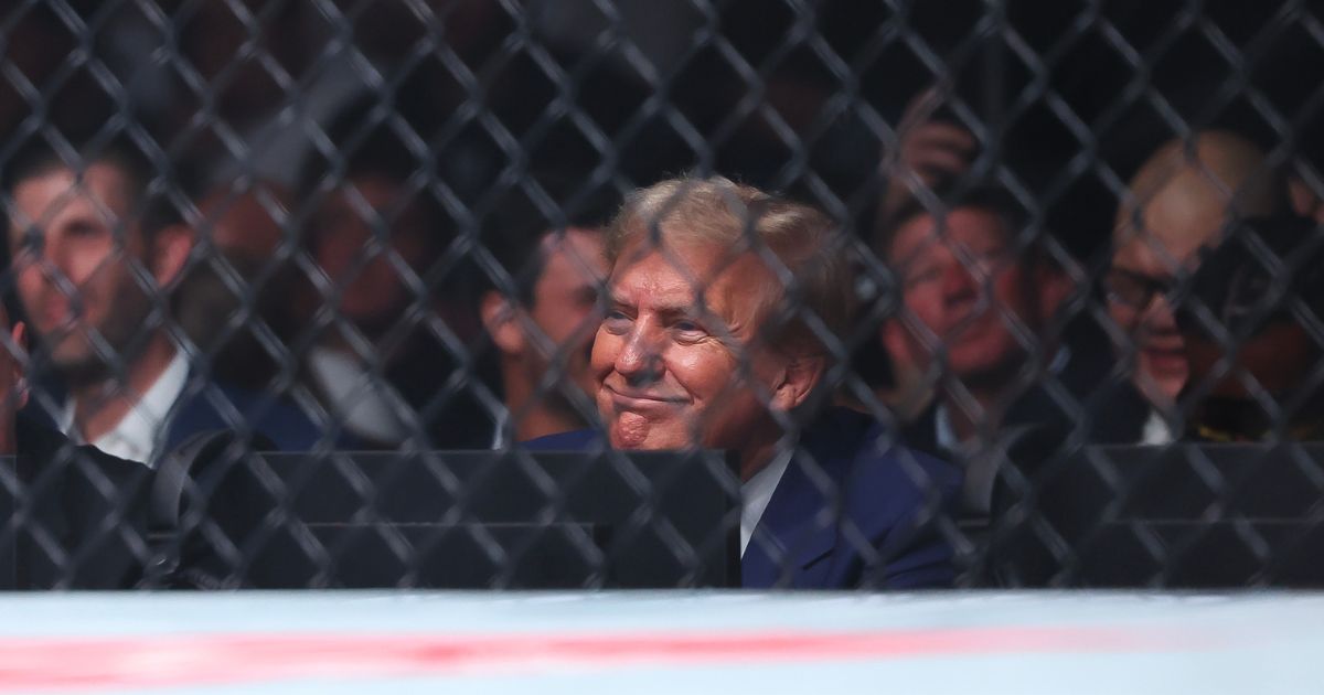Former U.S. President Donald Trump attends UFC 302 at Prudential Center on June 1, 2024 in Newark, New Jersey.